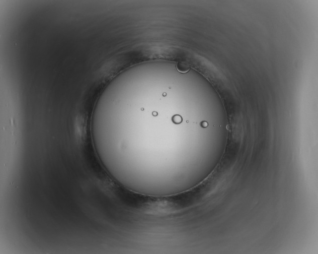 X0000101670695200807171336