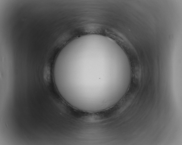 X0000101670696200807171336