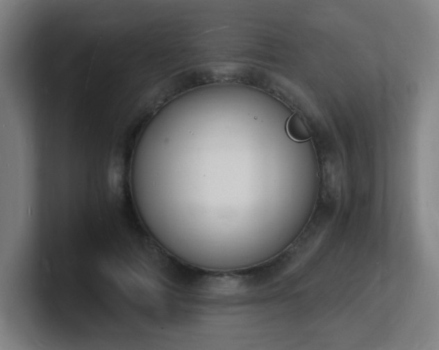 X0000101670698200807171336