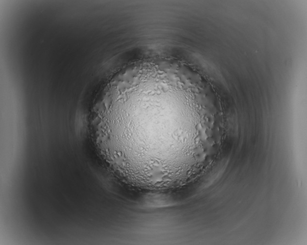 X0000101670699200807171336