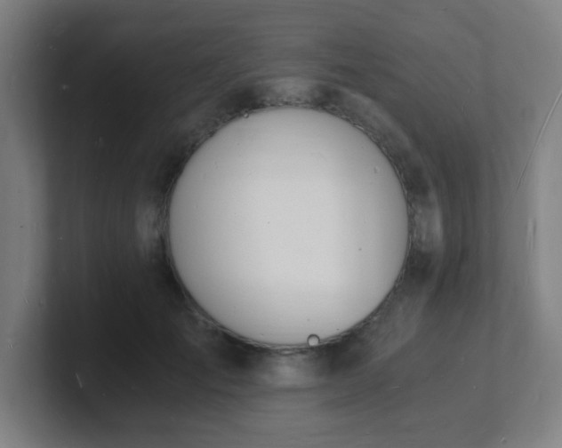 X0000101670701200807171336