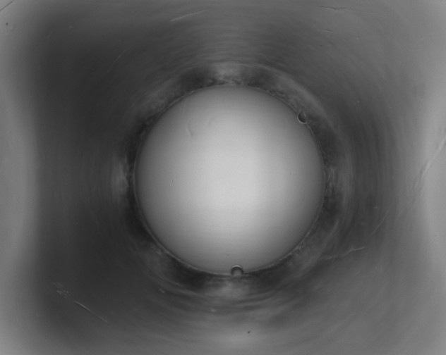 X0000101670702200807171336
