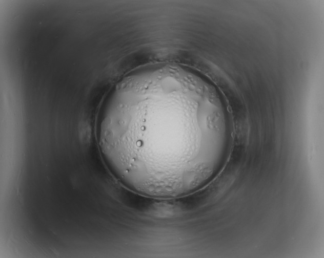 X0000101670703200807171336