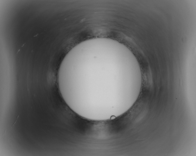 X0000101670705200807171336