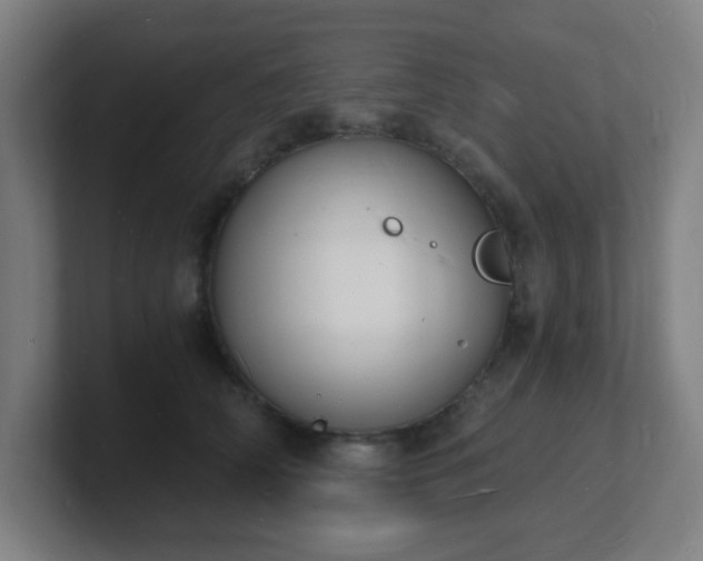 X0000101670706200807171336