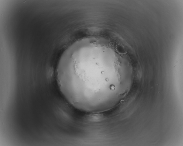 X0000101670711200807171336