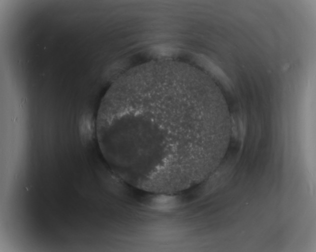 X0000101670718200807171336