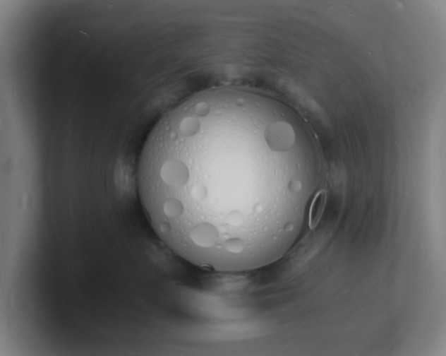 X0000101670719200807171336
