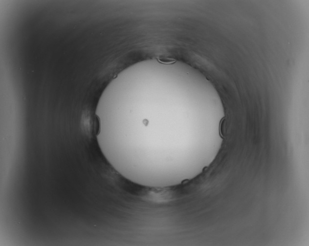 X0000101670720200807171336