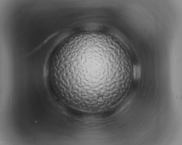 X0000101670723200807171335