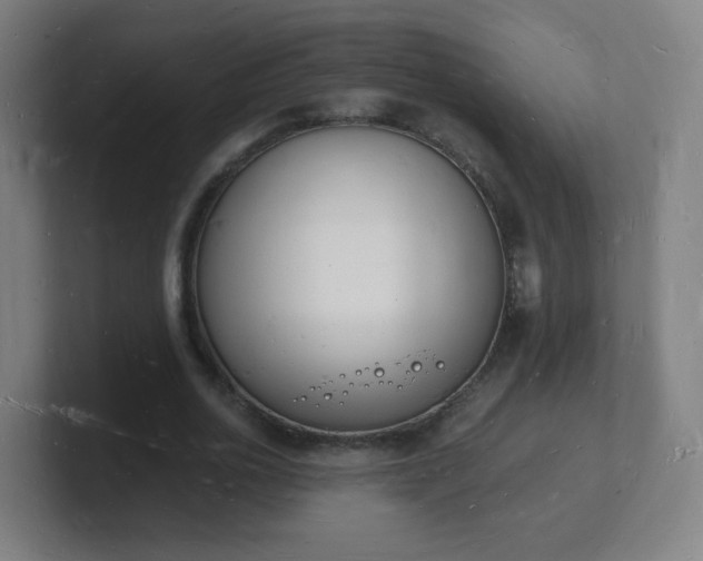 X0000101670726200807171335