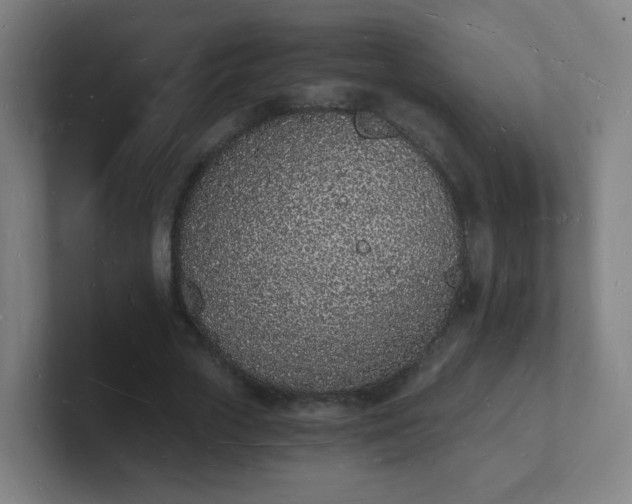 X0000101670729200807171335