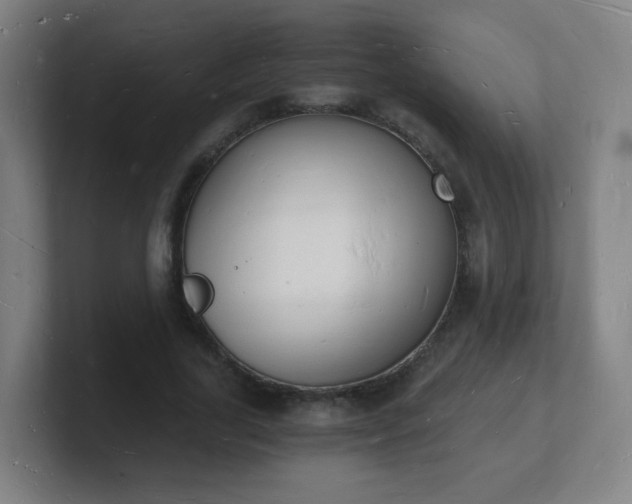 X0000101670731200807171335