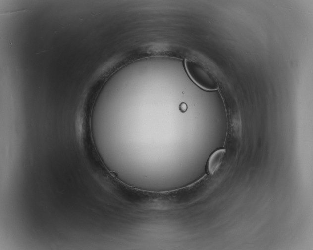 X0000101670732200807171335