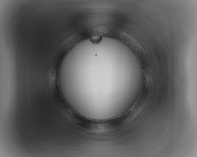 X0000101670745200807171335