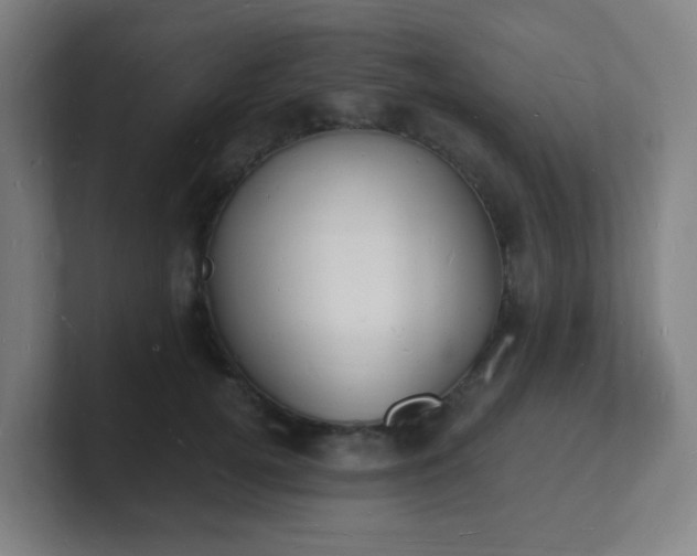 X0000101670752200807171336