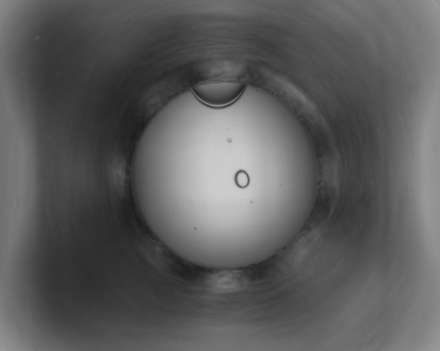 X0000101670761200807171336