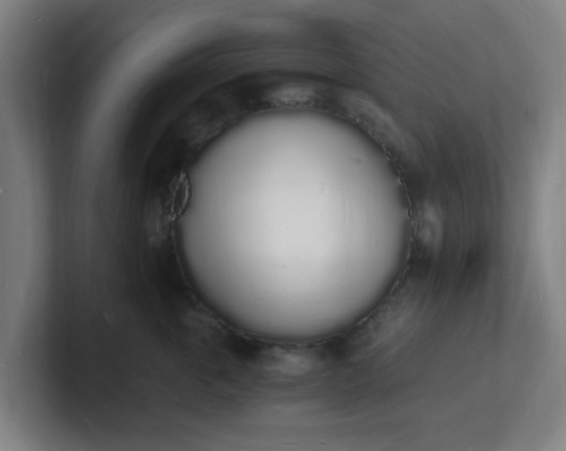 X0000101670763200807171336
