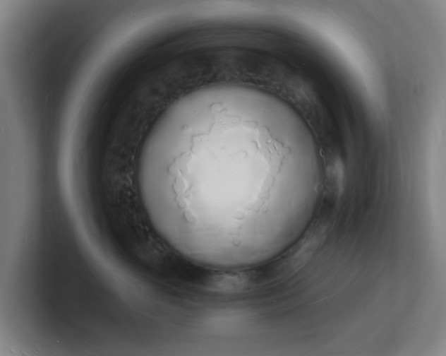 X0000101670765200807171336