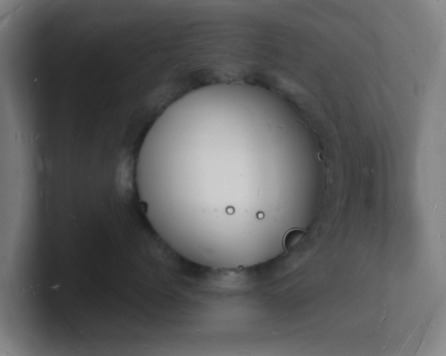 X0000101670768200807171336