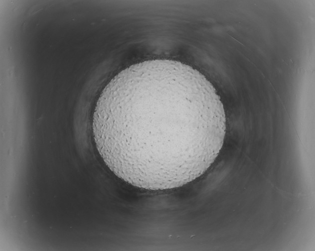 X0000101670769200807171335