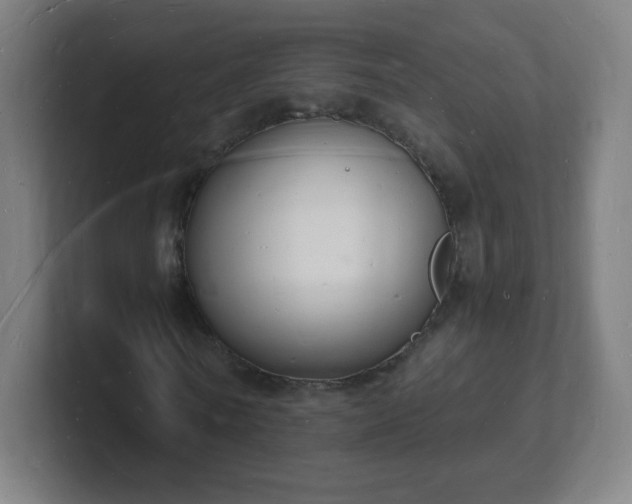 X0000101670770200807171335