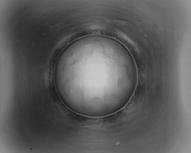 X0000101670775200807171335