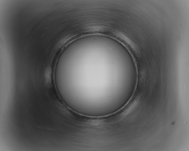 X0000101670778200807171335