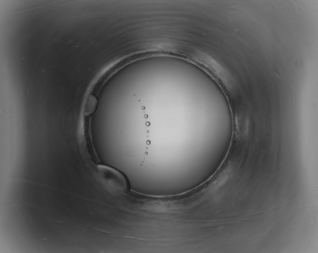 X0000101670780200807171335