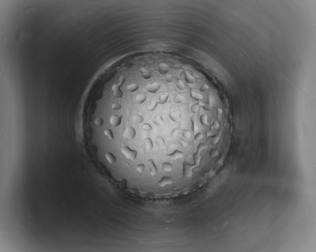 X0000101670784200807171335