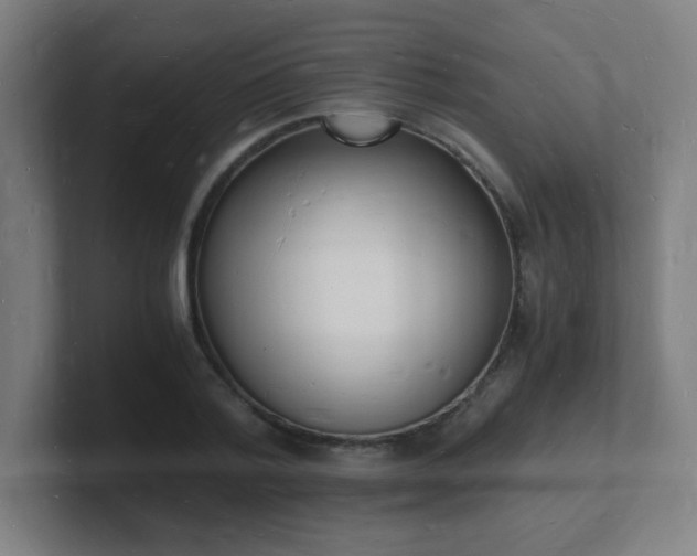 X0000101670788200807171335