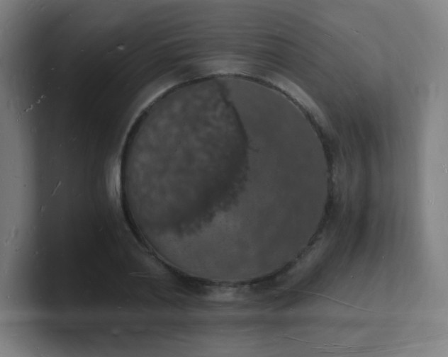 X0000101670790200807171335