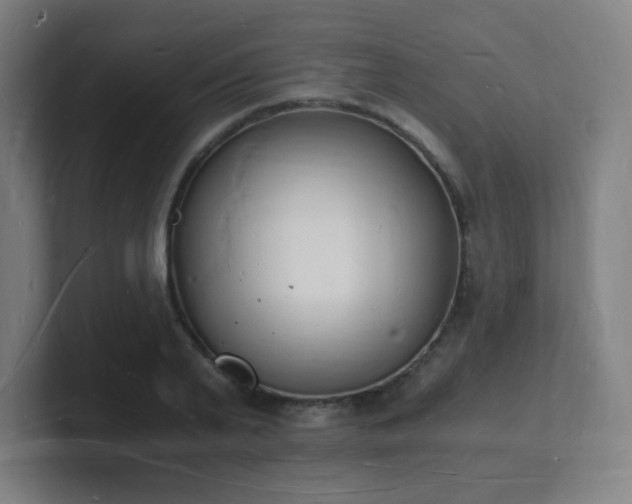 X0000101670791200807171335