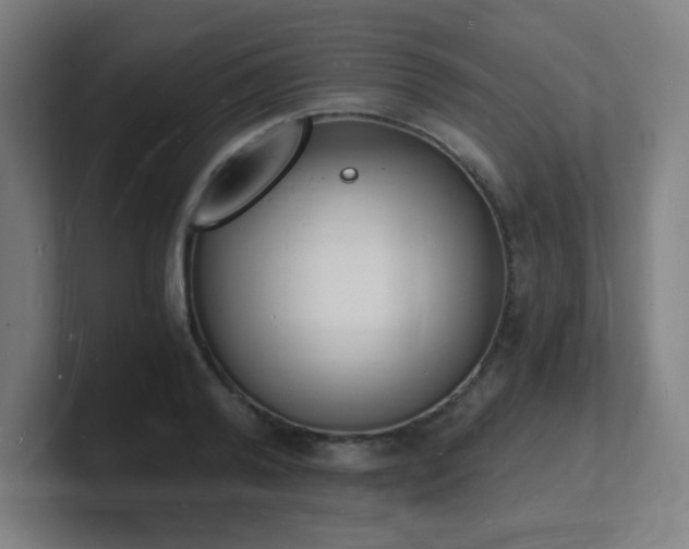X0000101670792200807171335