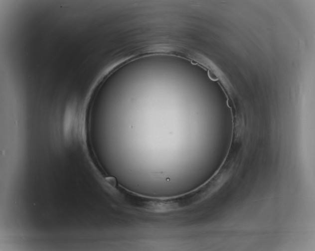 X0000101670795200807171335