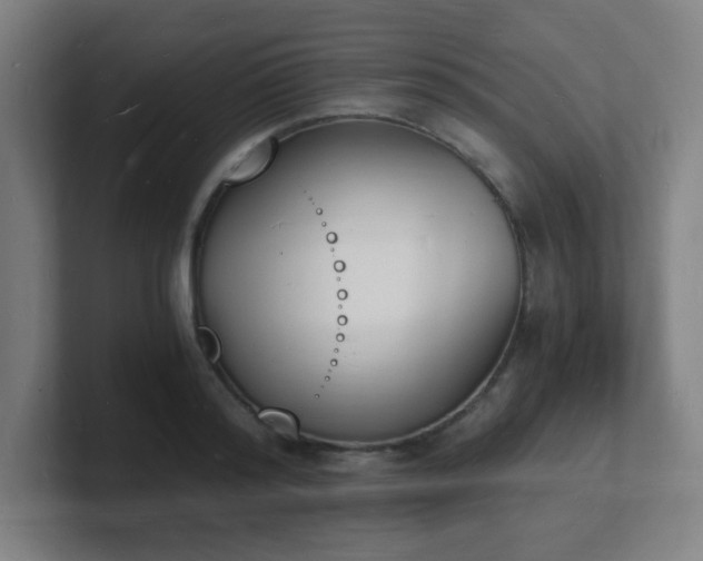 X0000101670796200807171335
