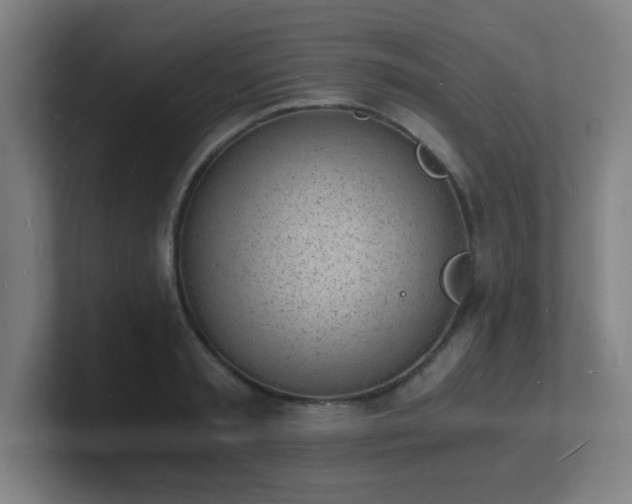 X0000101670797200807171335