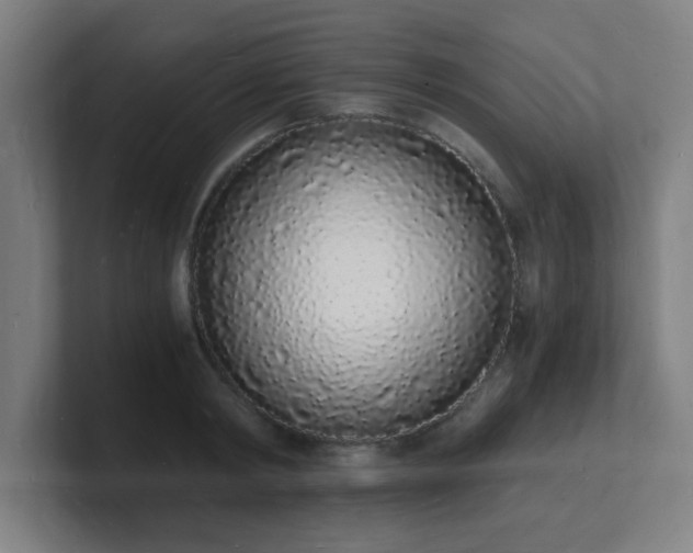 X0000101670798200807171335