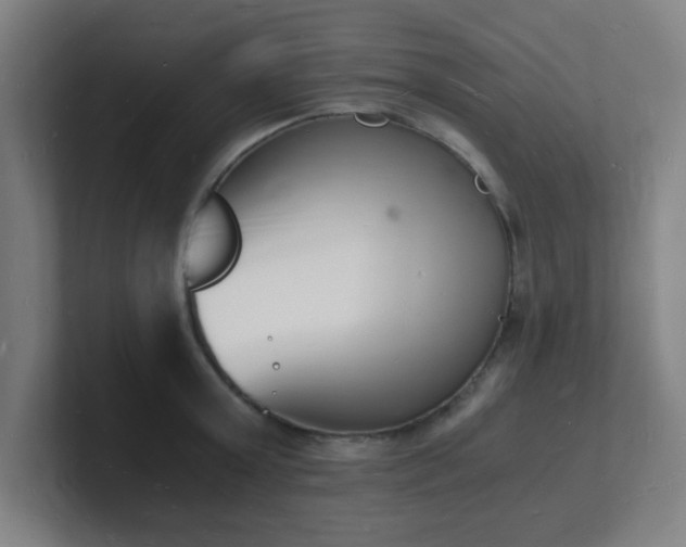 X0000101670803200807171335