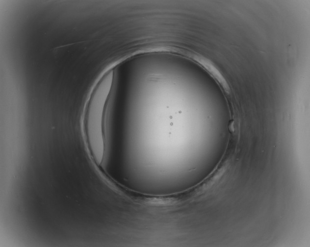 X0000101670805200807171335
