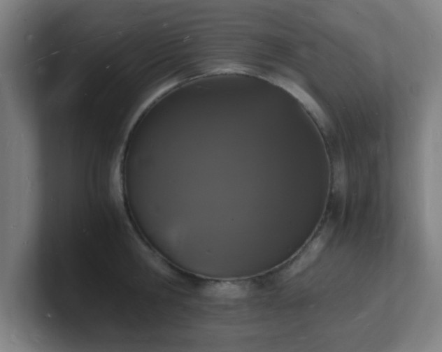 X0000101670806200807171335