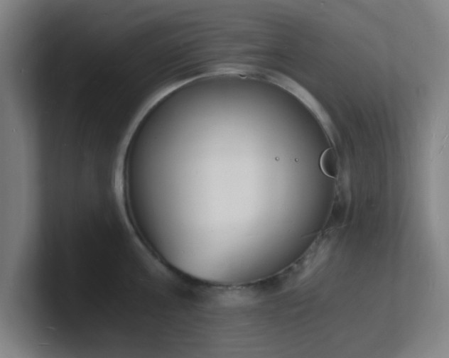 X0000101670811200807171335