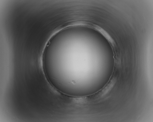 X0000101670813200807171334