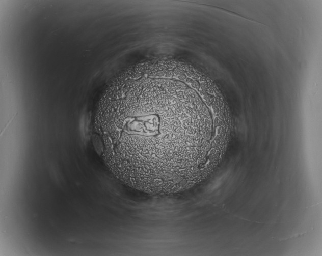 X0000101670818200807171334