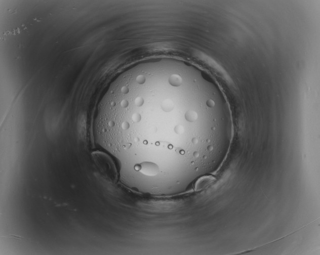 X0000101670825200807171334