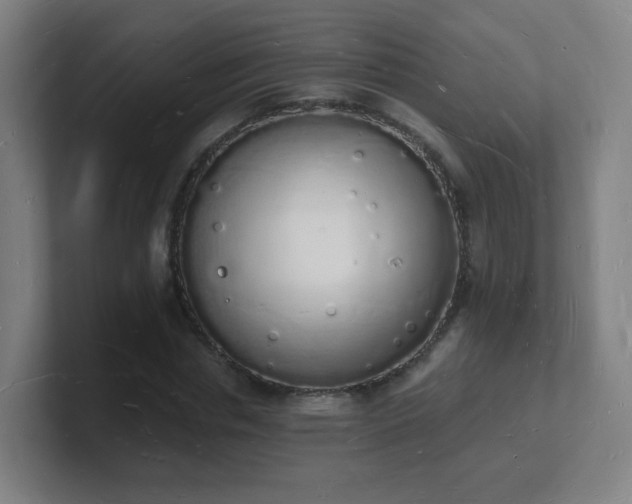 X0000101670826200807171334
