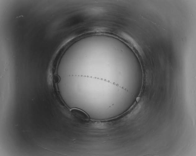X0000101670827200807171334