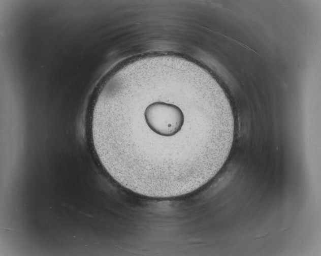 X0000101670828200807171334