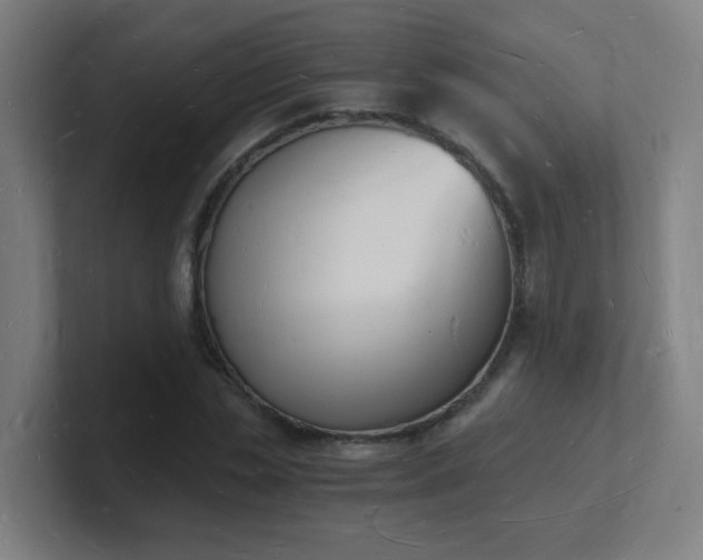 X0000101670829200807171334