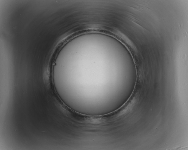 X0000101670831200807171334